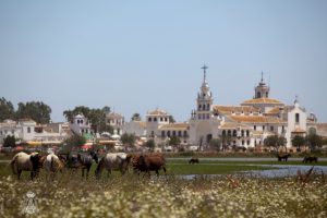 Lee más sobre el artículo SOLICITUD PARA ALOJAMIENTO EN LA HERMANDAD DURANTE LA ROMERÍA 2022-